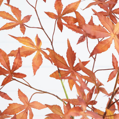 4' Autumn Japanese Maple artificial tree with orange serrated leaves on Tampa Home & Garden Store