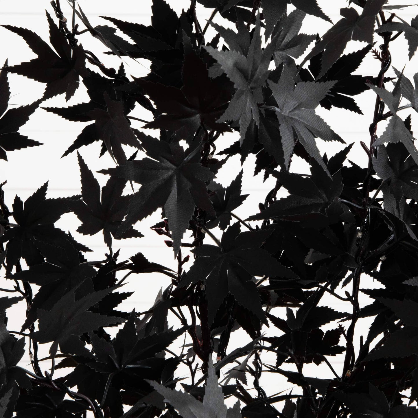 4 ft pre-lit artificial Halloween black maple tree with orange & purple LEDs on Tampa Home & Garden Store