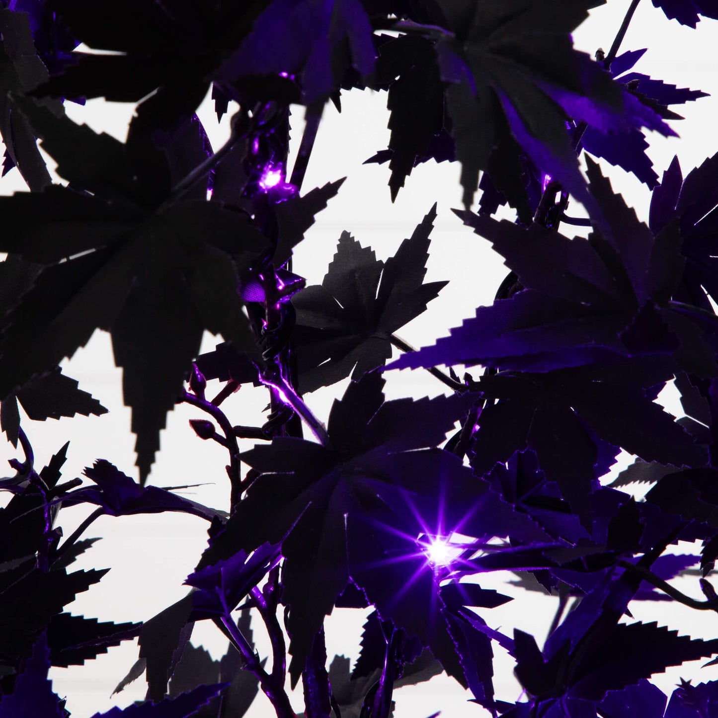 4' Pre-Lit Halloween Black Maple Tree with 180 orange & purple LEDs Nearly Natural on Tampa Home & Garden Store