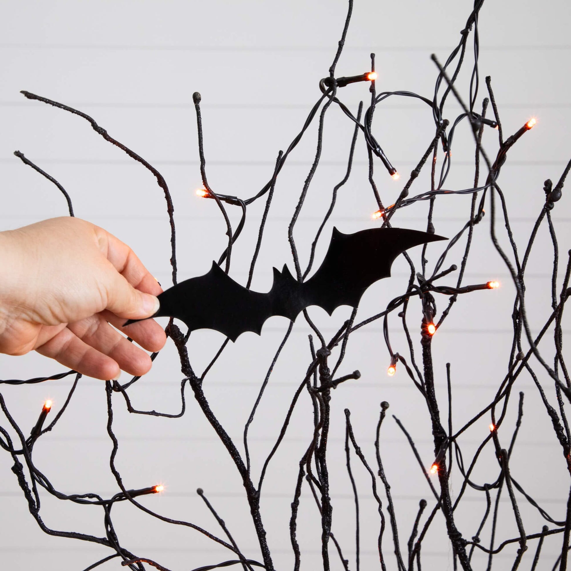 4' Pre-Lit Halloween Black Twig Tree with Bats and 50 Orange LED Lights on Tampa Home & Garden Store
