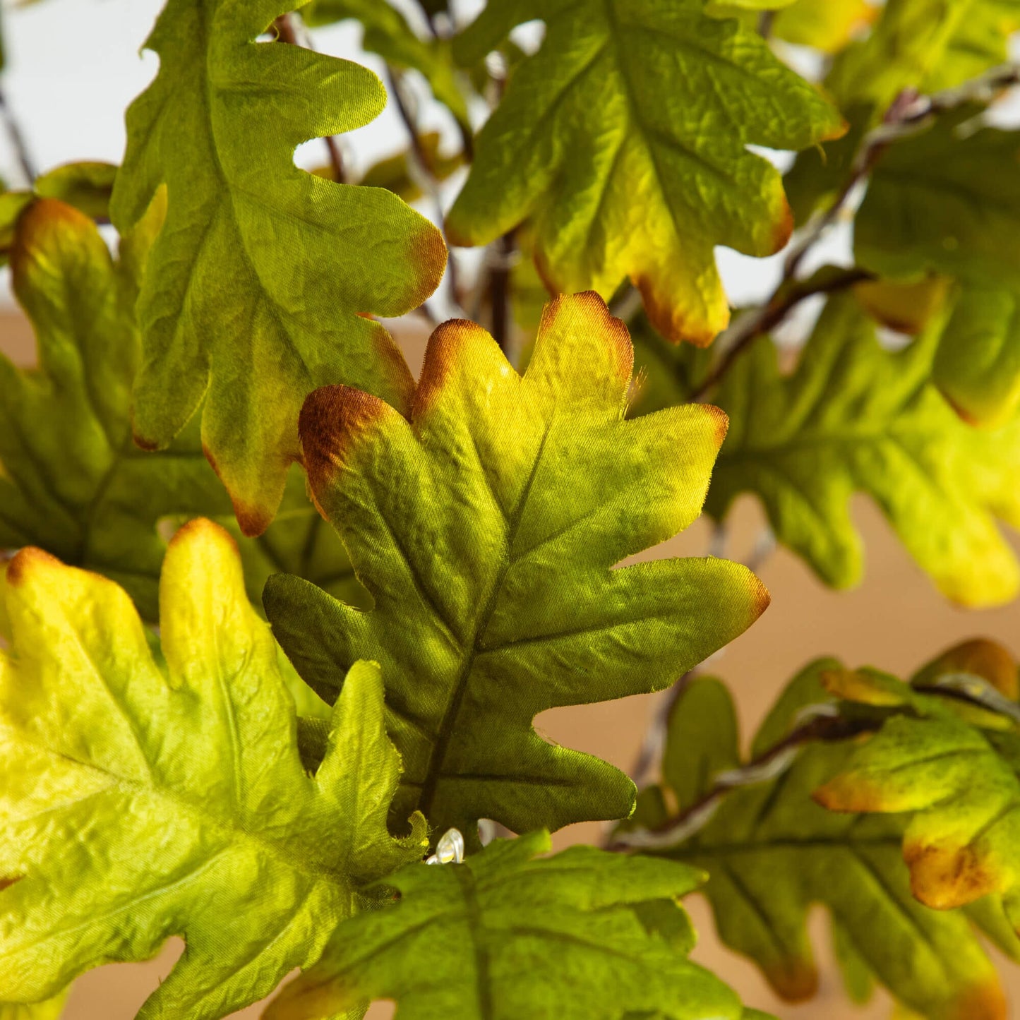 4 ft pre-lit autumn oak artificial tree with green-yellow leaves and 150 warm white LEDs on Tampa Home & Garden Store