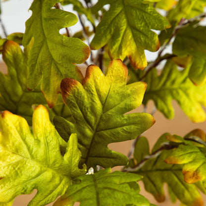 4 ft pre-lit autumn oak artificial tree with green-yellow leaves and 150 warm white LEDs on Tampa Home & Garden Store
