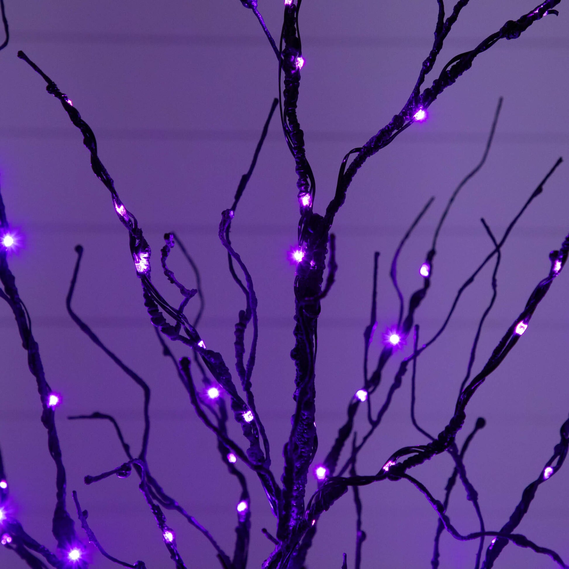 4' Pre-Lit Halloween Black Twig Artificial Tree Nearly Natural with purple LED lights on Tampa Home & Garden Store