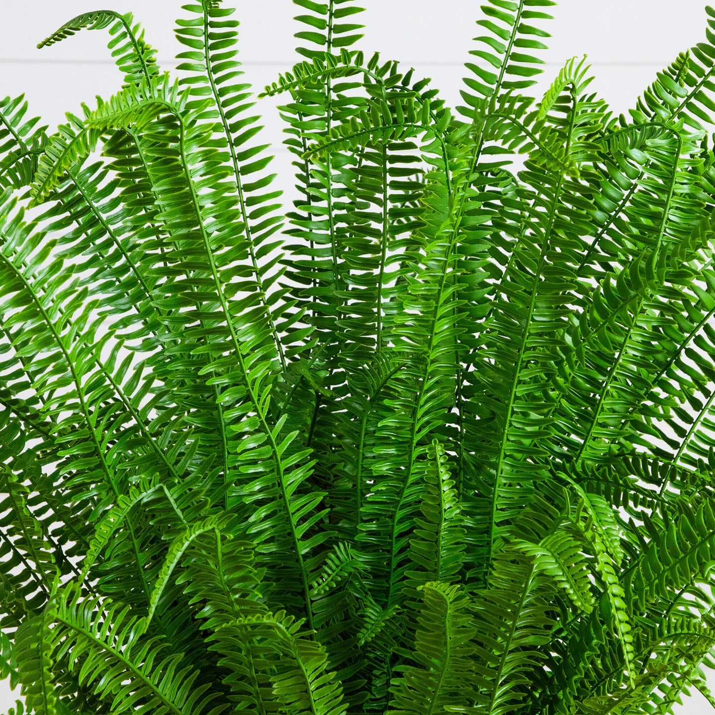 4' UV Resistant Artificial Real Touch Boston Fern Plant indoor outdoor Nearly Natural on Tampa Home & Garden Store