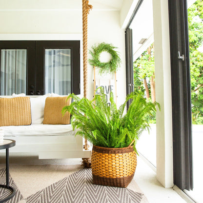 4' UV Resistant Boston Fern Plant by Nearly Natural in a woven basket for indoor outdoor on Tampa Home & Garden Store