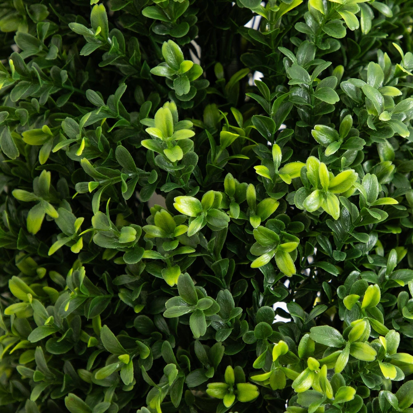 Nearly Natural 4 ft UV resistant artificial boxwood plant with ground stake, set of 2 on Tampa Home & Garden Store