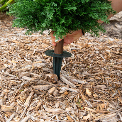 Artificial Cedar Plant, 4-ft, UV resistant with integrated ground stake, Nearly Natural on Tampa Home & Garden Store