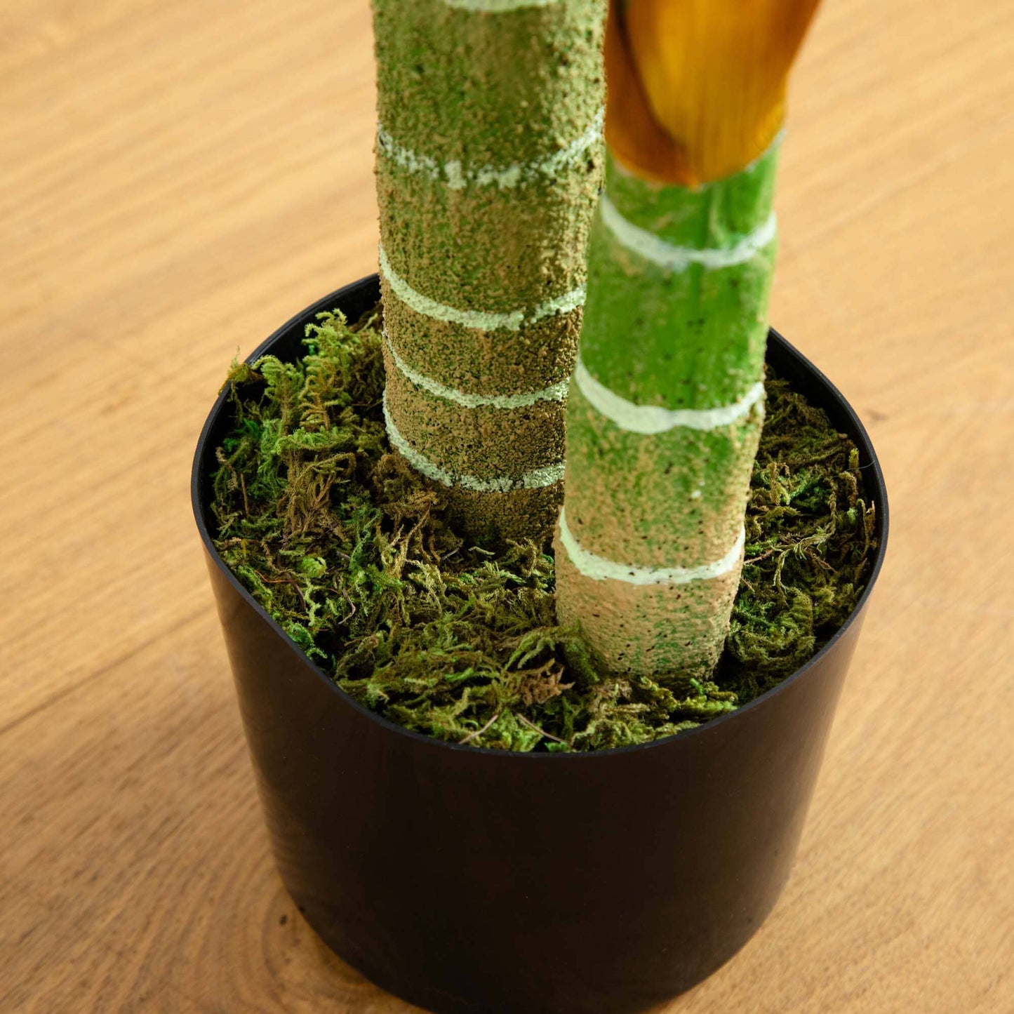 4-foot Golden Cane Palm Tree artificial tree by Nearly Natural in a black pot with moss on Tampa Home & Garden Store