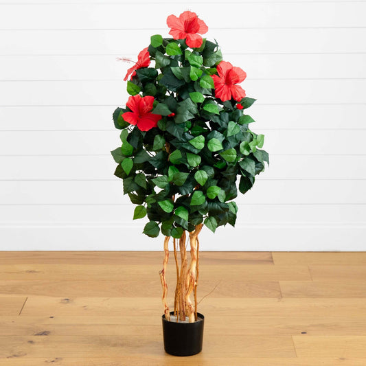 4’ Hibiscus Tree - Tampa Home & Garden Store