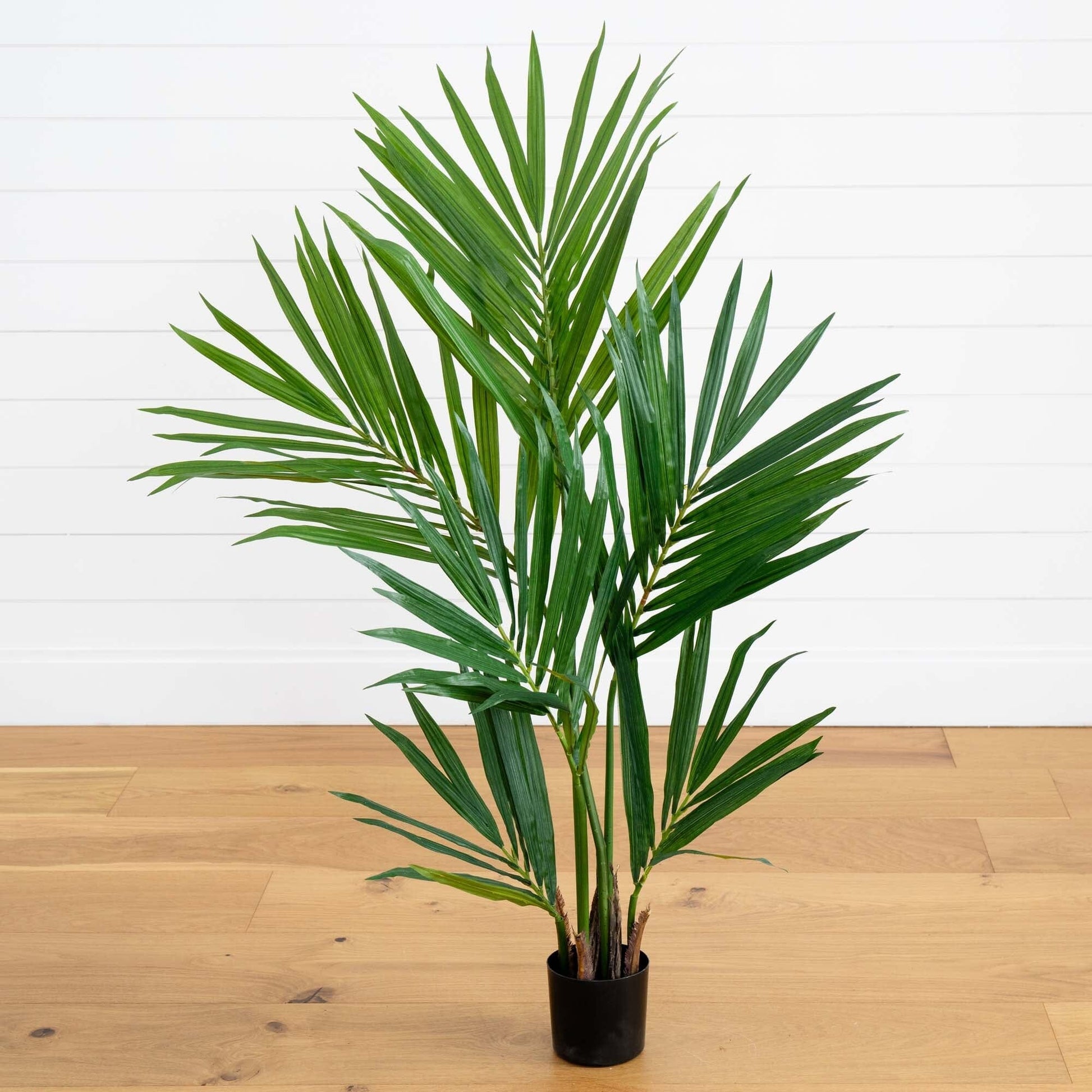 4' Kentia Palm Artificial Silk Tree by Nearly Natural in a black pot with lush green fronds on Tampa Home & Garden Store