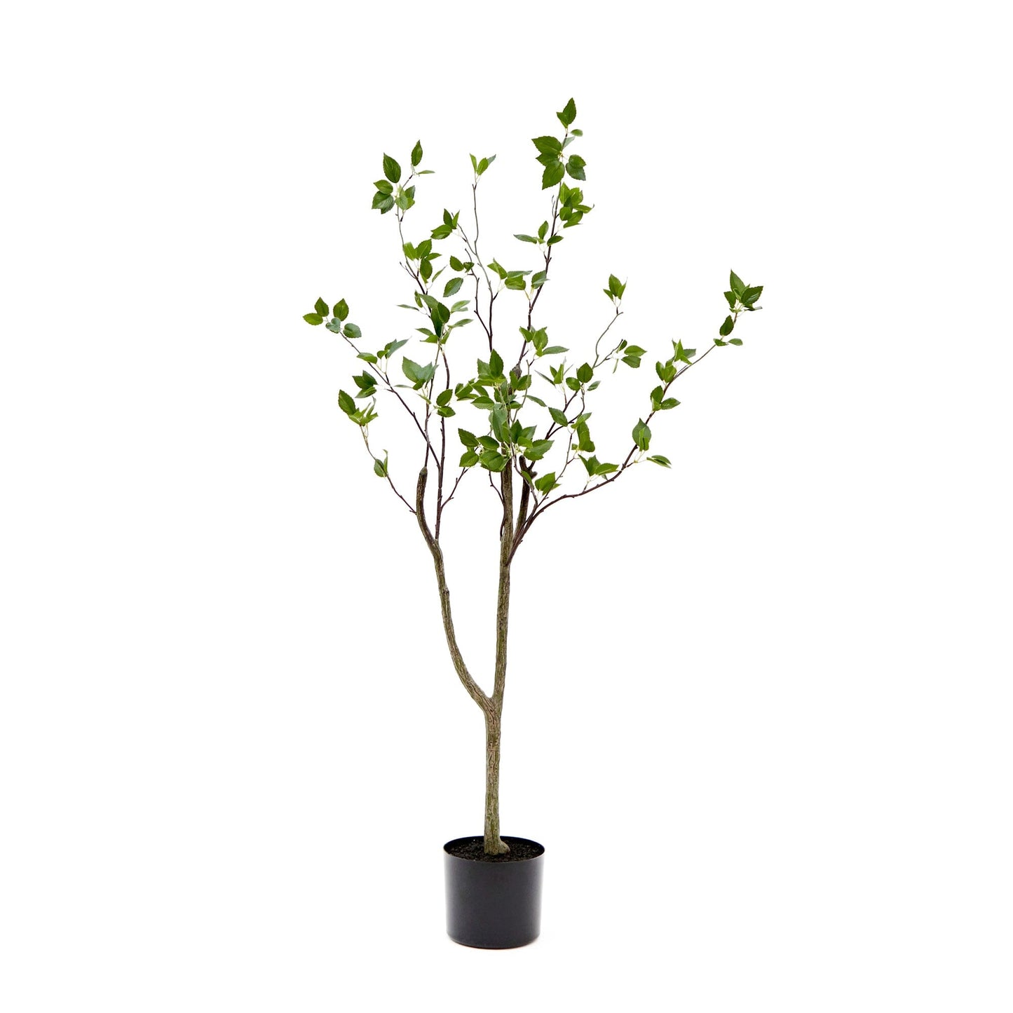 Nearly Natural 4' Minimalist Citrus Artificial Tree with green leaves in black pot on Tampa Home & Garden Store