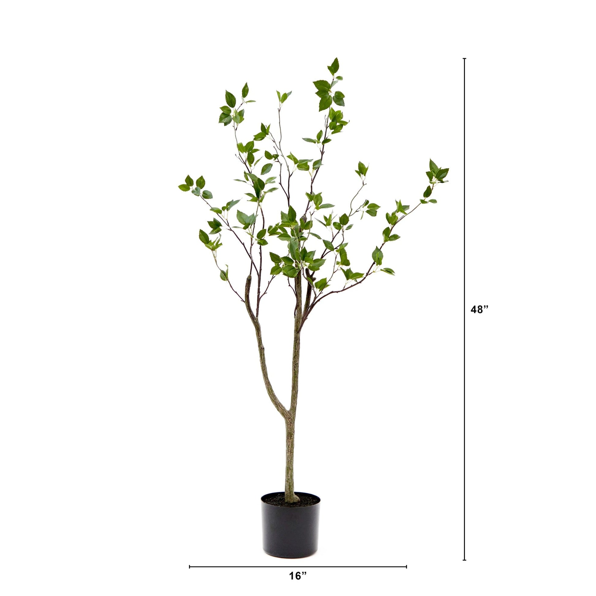 4 ft Minimalist Citrus Artificial Tree by Nearly Natural with green leaves in a black pot on Tampa Home & Garden Store