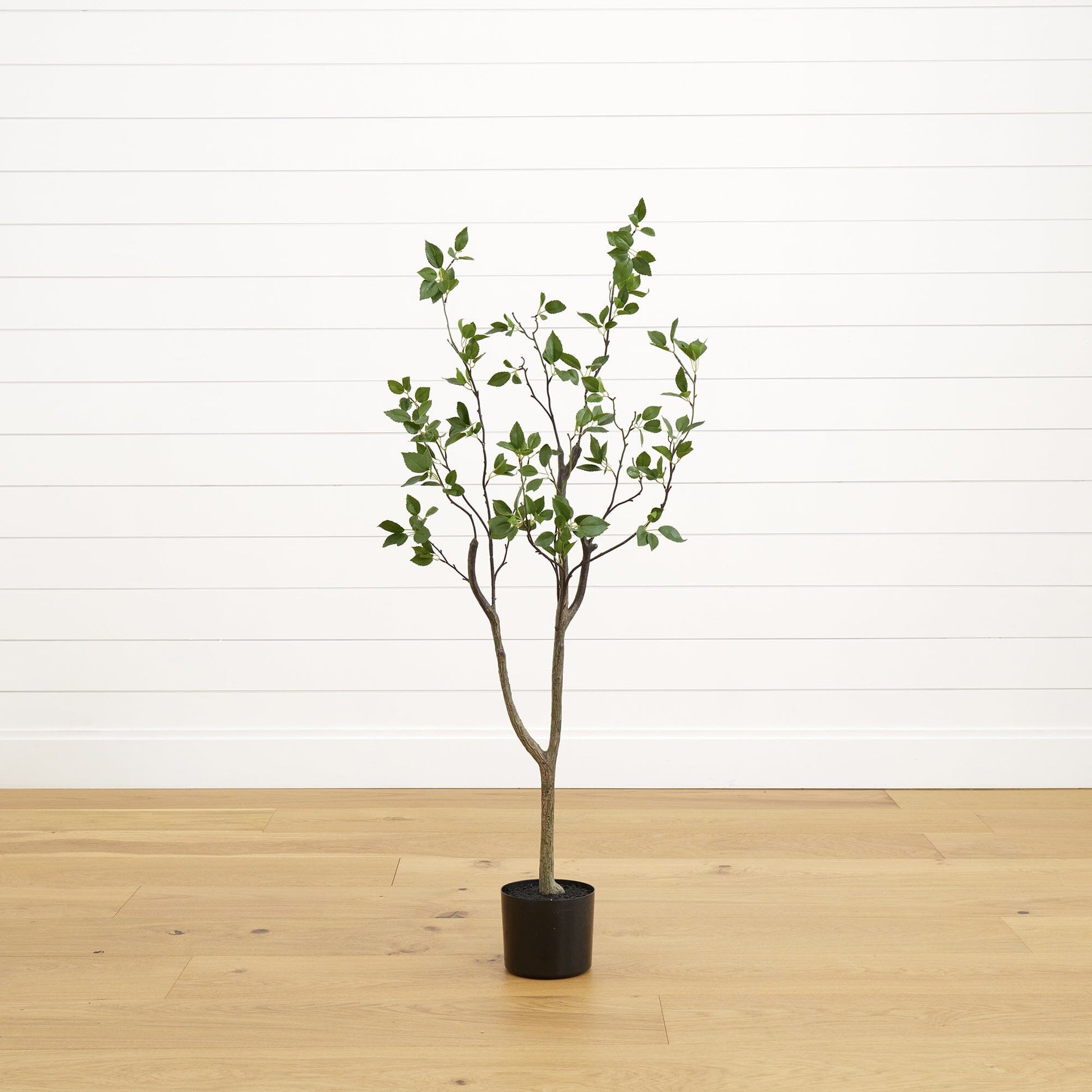 4' Minimalist Citrus Artificial Tree by Nearly Natural with green leaves in a black pot on Tampa Home & Garden Store