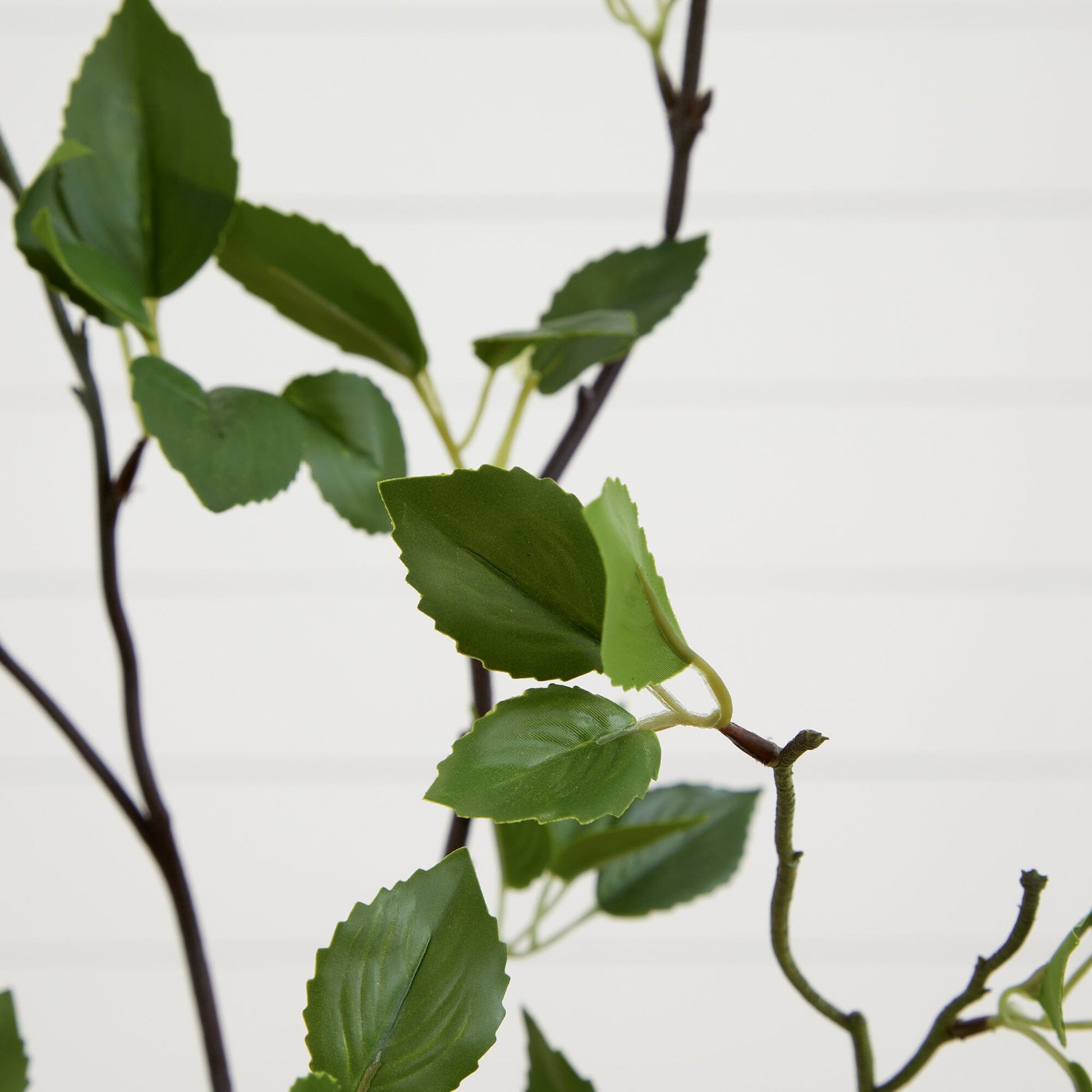 4' Minimalist Citrus Artificial Tree by Nearly Natural with green serrated leaves and brown stems on Tampa Home & Garden Store