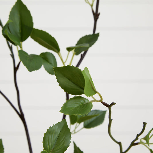 4' Minimalist Citrus Artificial Tree by Nearly Natural with green serrated leaves and brown stems on Tampa Home & Garden Store