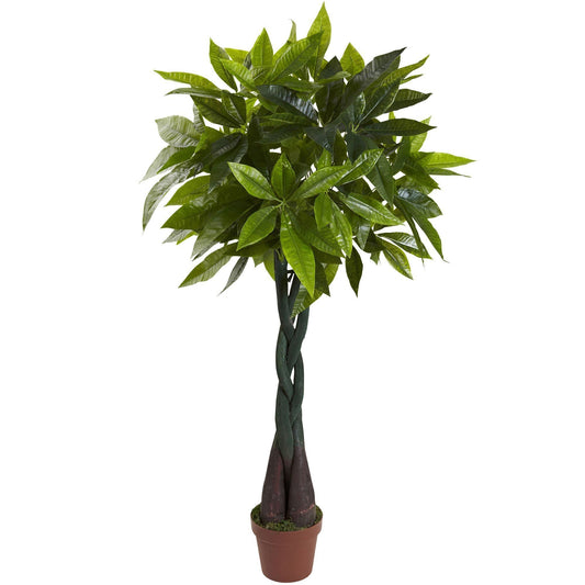 4’ Money Plant (Real Touch) - Tampa Home & Garden Store