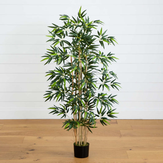 4' Multi Bambusa Bamboo Silk Tree - Tampa Home & Garden Store