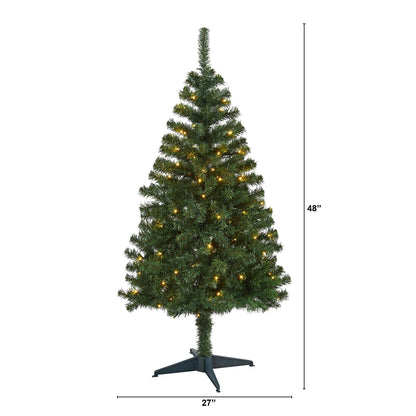 4' Northern Tip Pine Christmas tree 100 clear LED lights by Nearly Natural on sturdy stand on Tampa Home & Garden Store