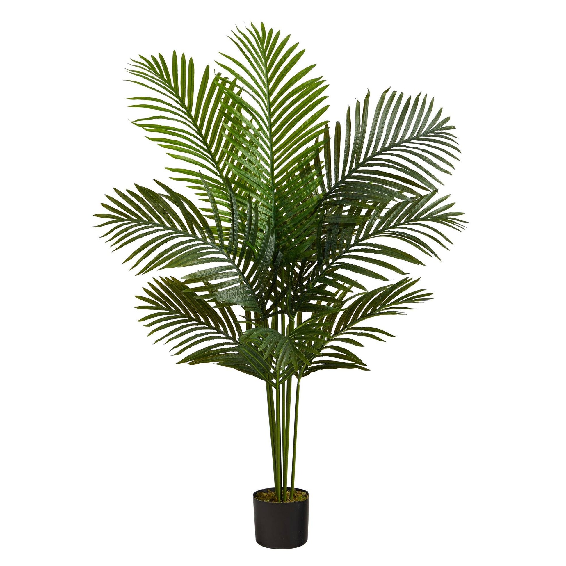 4 ft Artificial Paradise Palm Tree by Nearly Natural with green fronds in black planter on Tampa Home & Garden Store