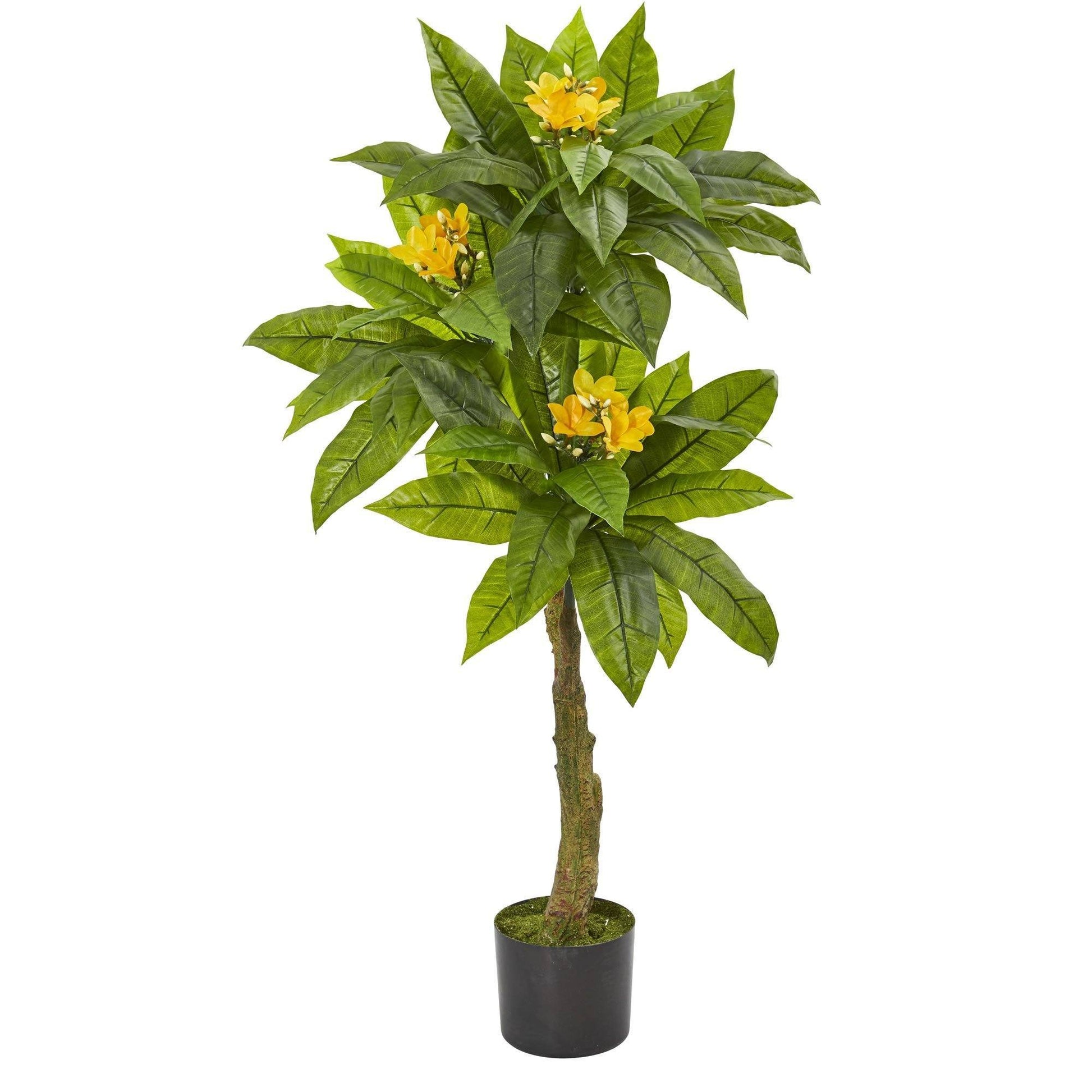 4ft Plumeria artificial tree Nearly Natural with green leaves and yellow blooms in a black pot on Tampa Home & Garden Store