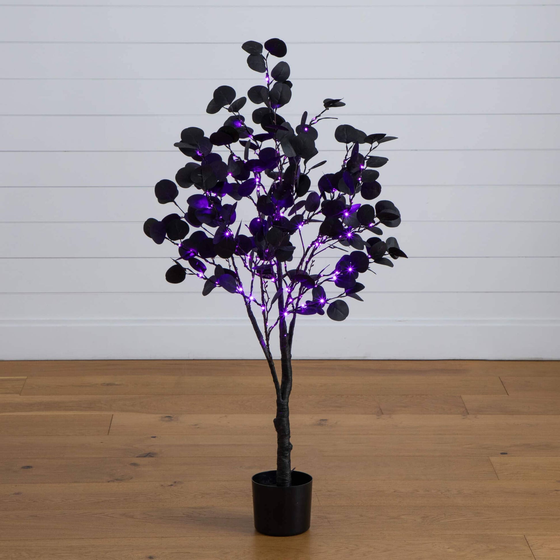 4 ft Nearly Natural pre-lit black eucalyptus tree in a black pot with 160 orange and purple LEDs on Tampa Home & Garden Store