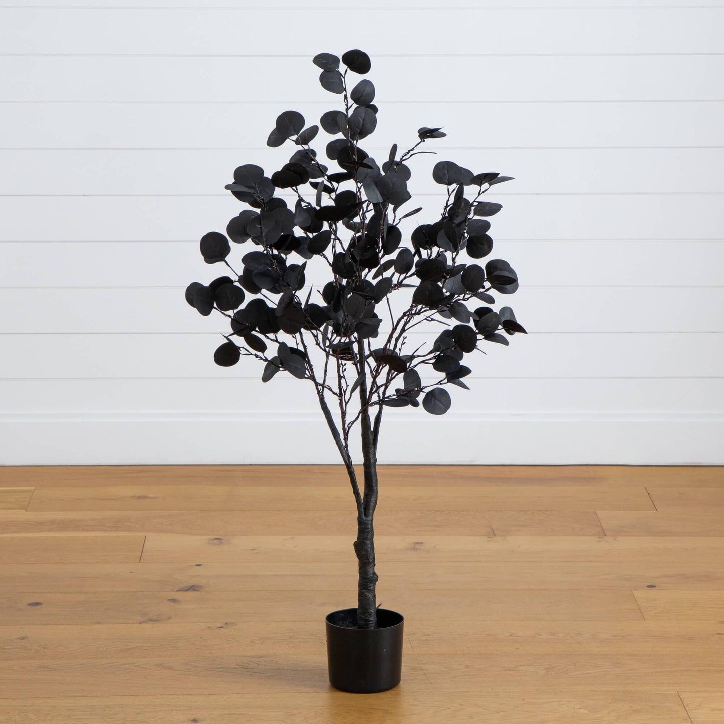 4ft black eucalyptus artificial tree in a black planter for Halloween decor on Tampa Home & Garden Store