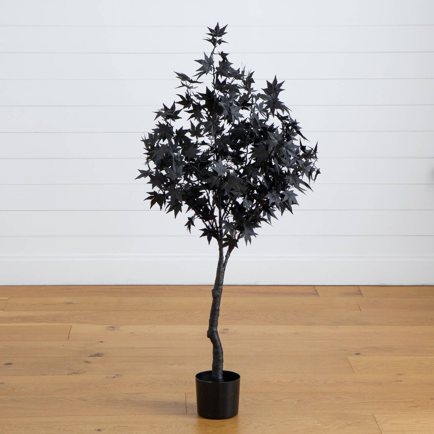 4 ft artificial Halloween black maple tree in a black pot with dense dark foliage indoors on Tampa Home & Garden Store
