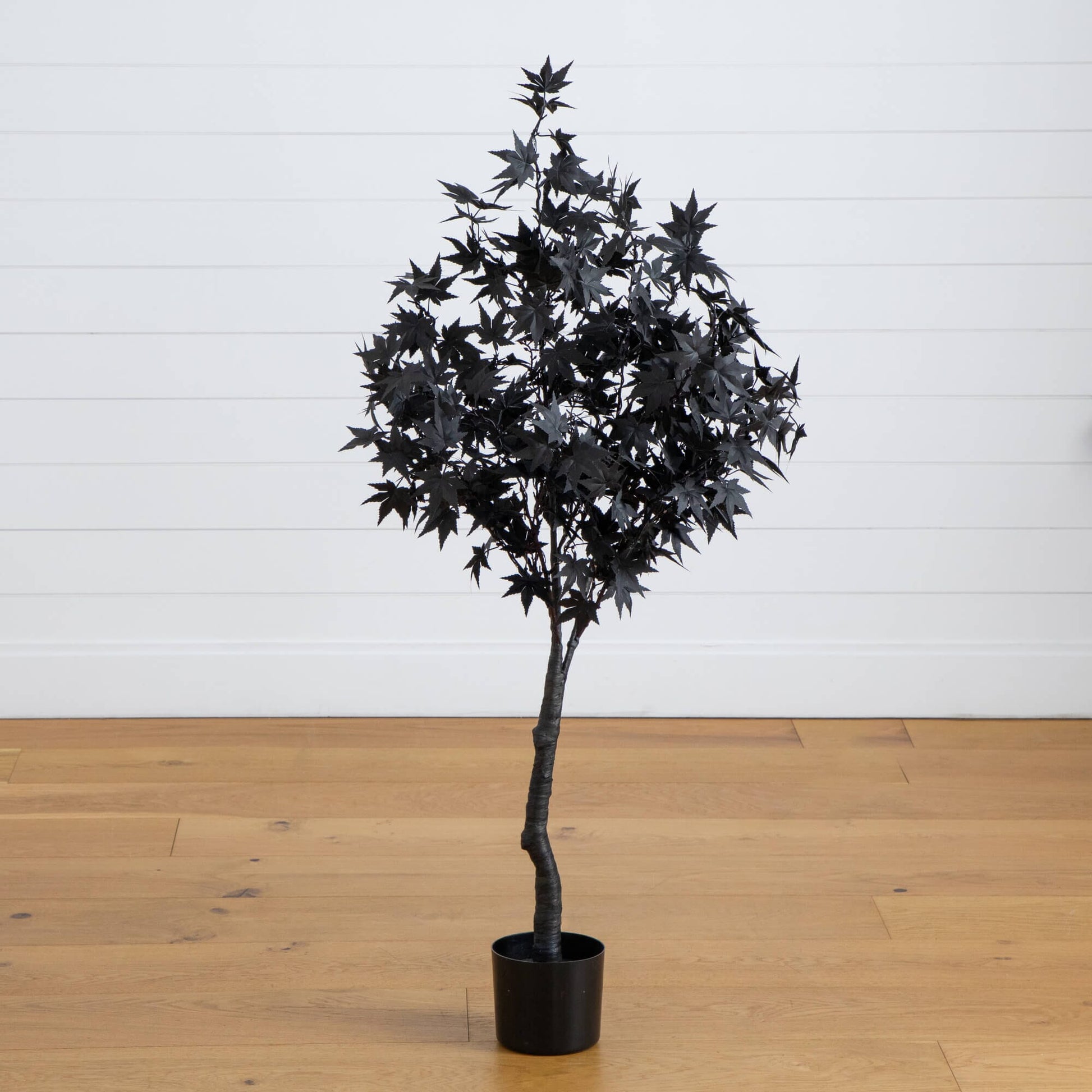 4 ft artificial Halloween black maple tree in a black pot with dense dark foliage indoors on Tampa Home & Garden Store