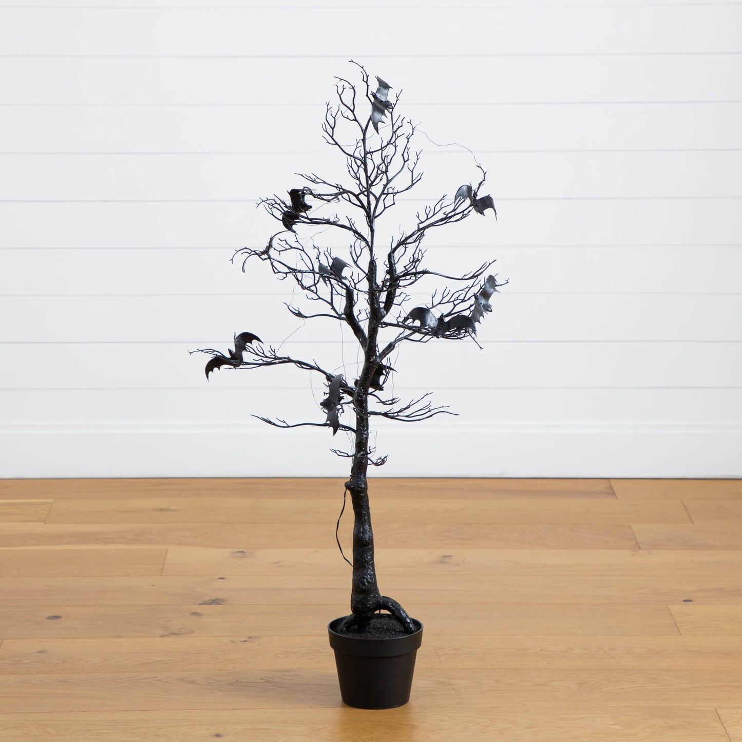 4ft pre-lit black spooky twig tree with bats and orange and purple LEDs in a pot on Tampa Home & Garden Store