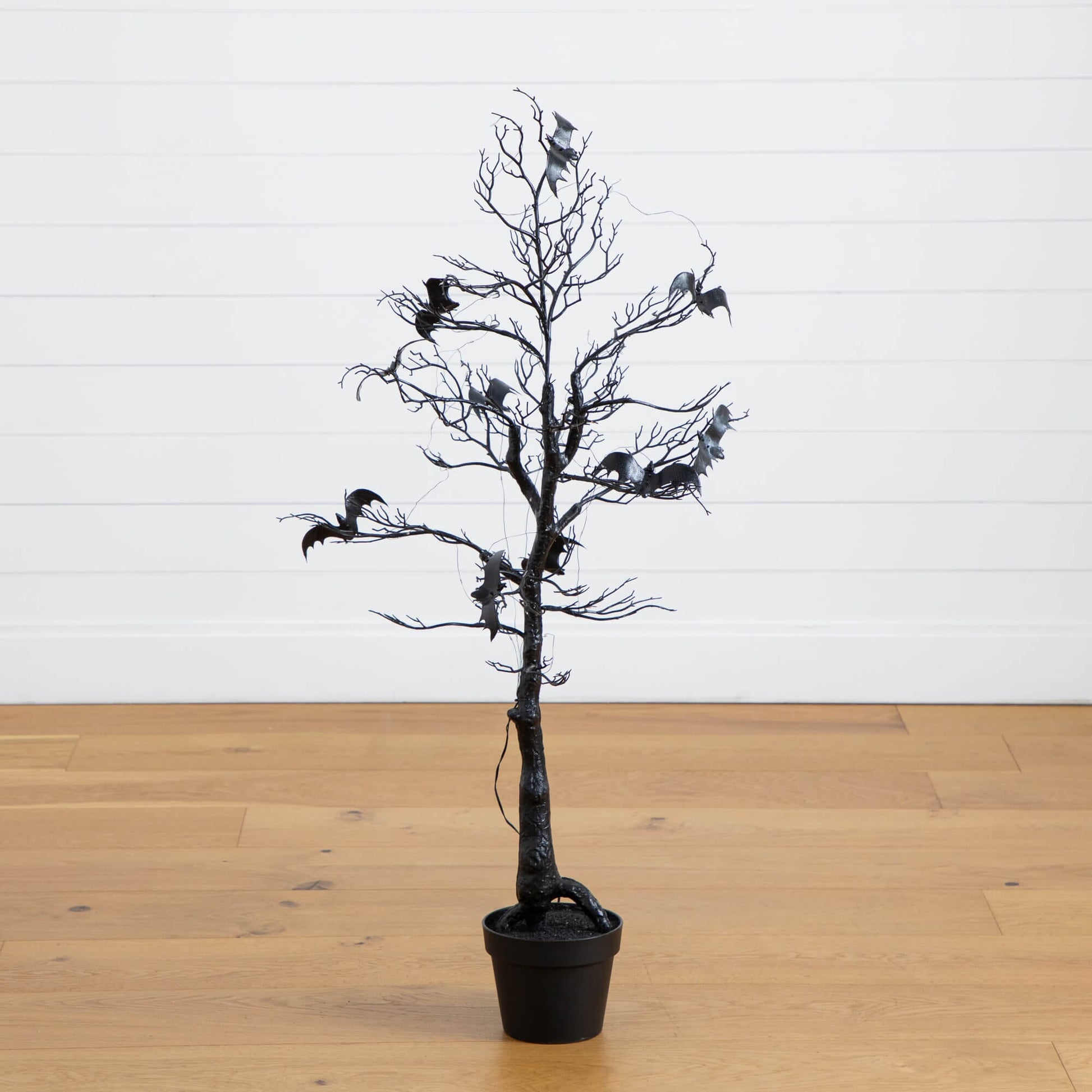 4ft pre-lit black spooky twig tree with bats and orange and purple LEDs in a pot on Tampa Home & Garden Store