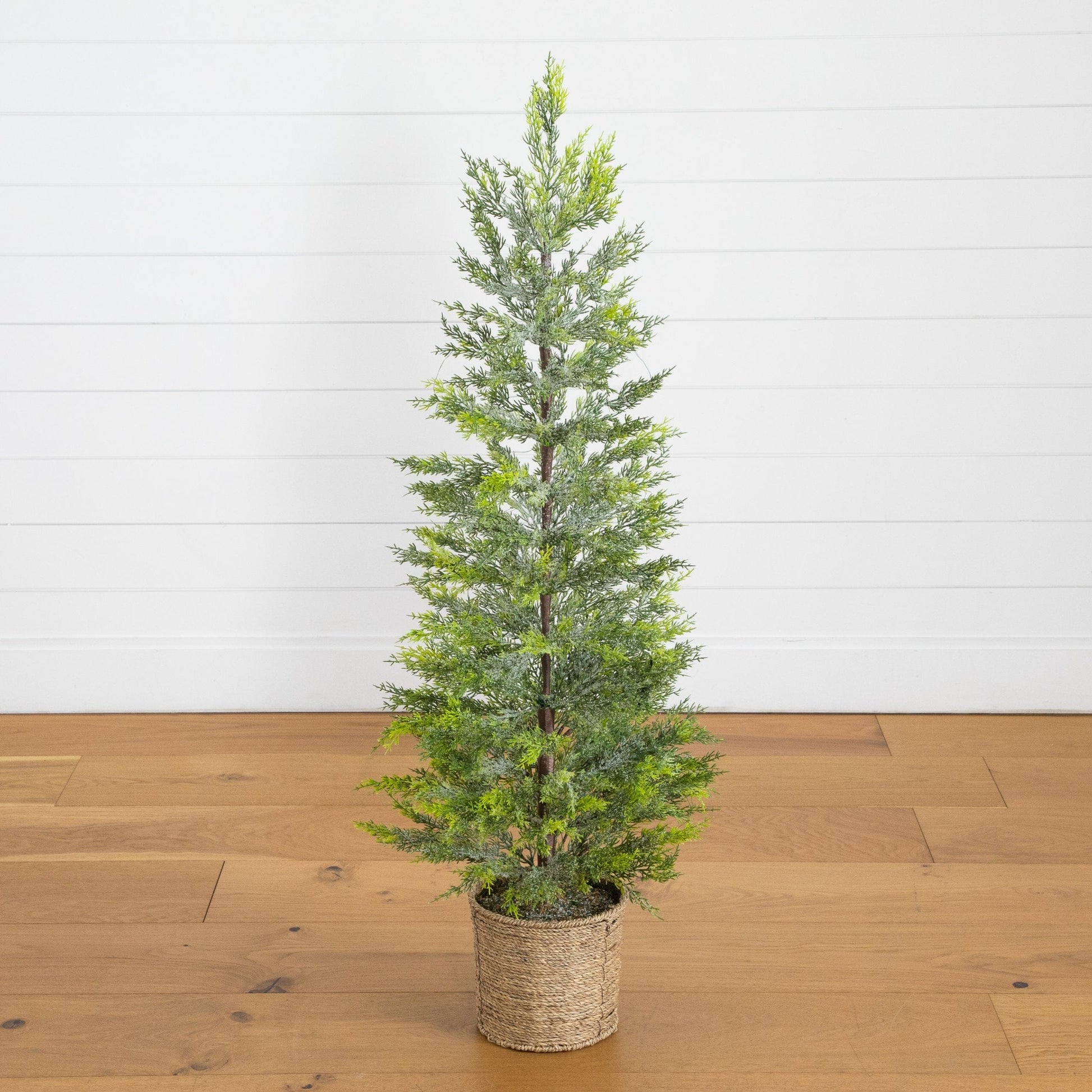 4ft Pre-Lit Snowed Cypress Christmas Tree with 120 LED Lights in hyacinth basket on Tampa Home & Garden Store