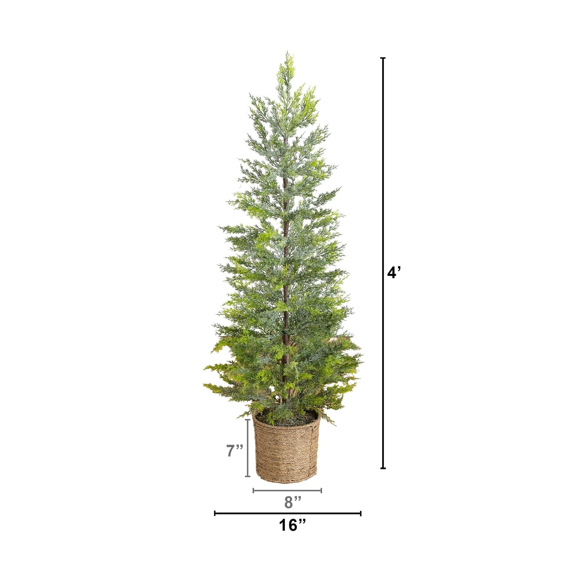 4' Pre-Lit Snowed Cypress Christmas Tree in Hyacinth Basket by Nearly Natural with 120 LEDs on Tampa Home & Garden Store