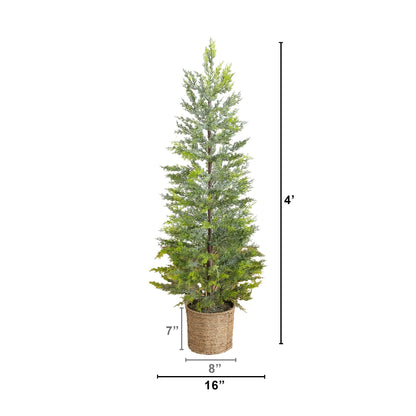 4' Pre-Lit Snowed Cypress Christmas Tree in Hyacinth Basket by Nearly Natural with 120 LEDs on Tampa Home & Garden Store