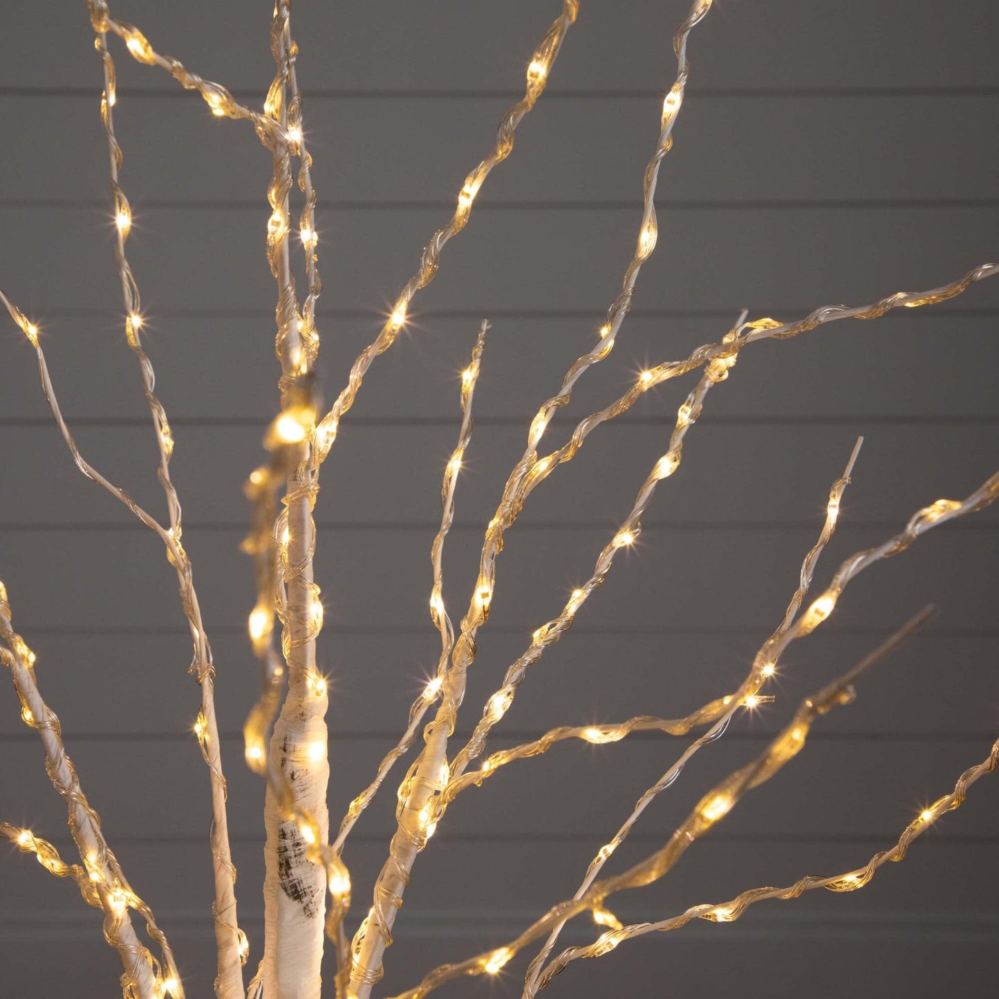 4 Ft White Birch and Color Changing Led Lights