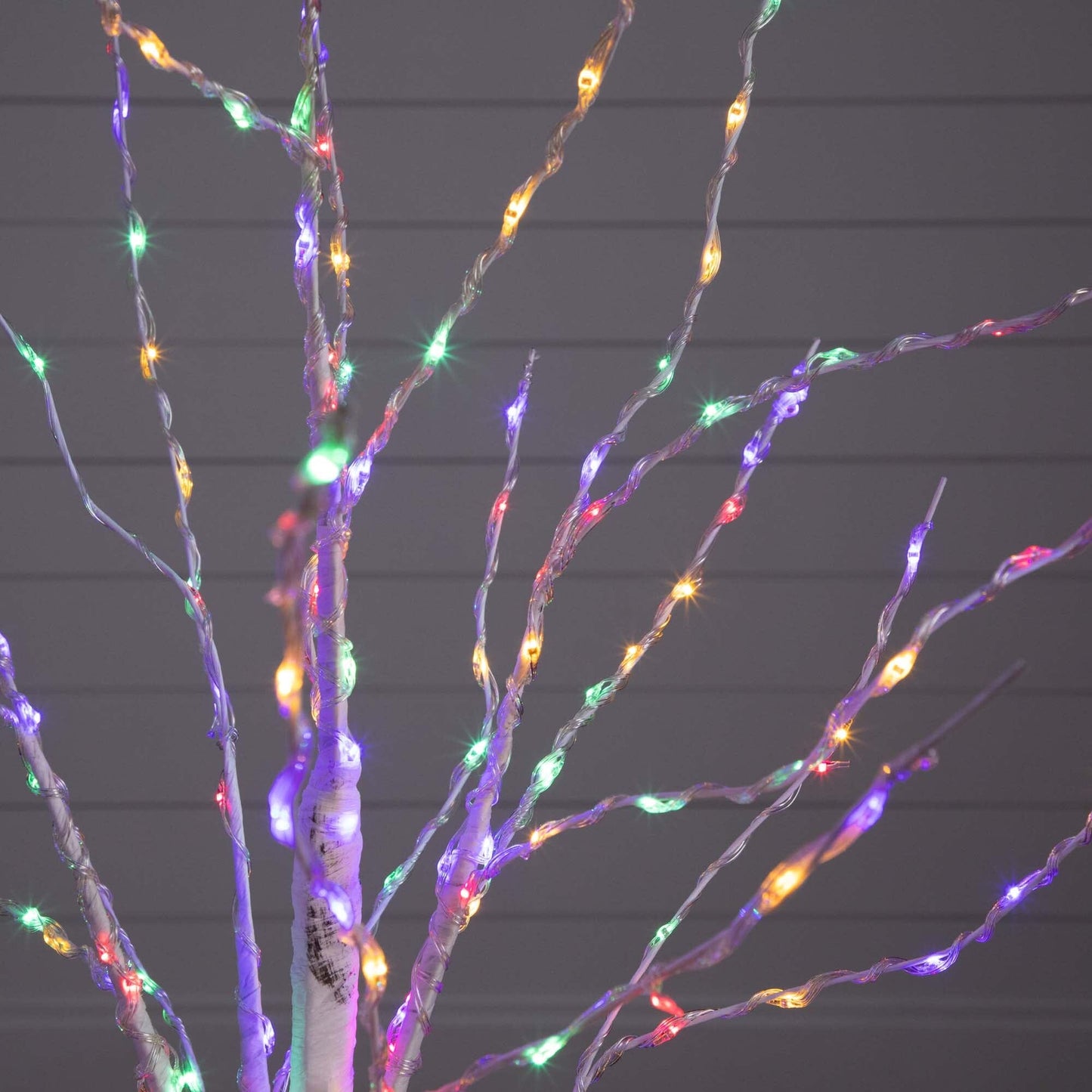 4 Ft White Birch and Color Changing Led Lights