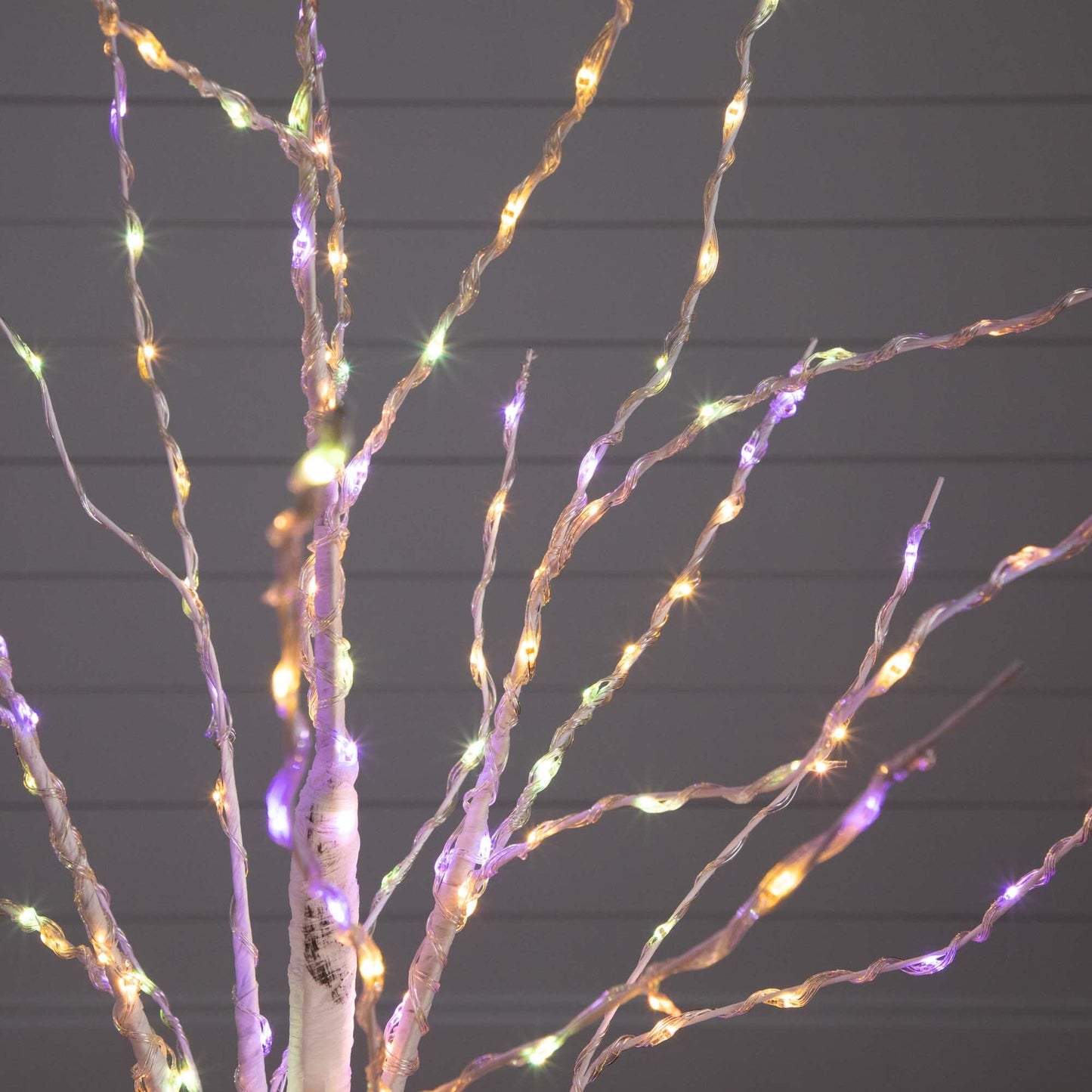4 Ft White Birch and Color Changing Led Lights