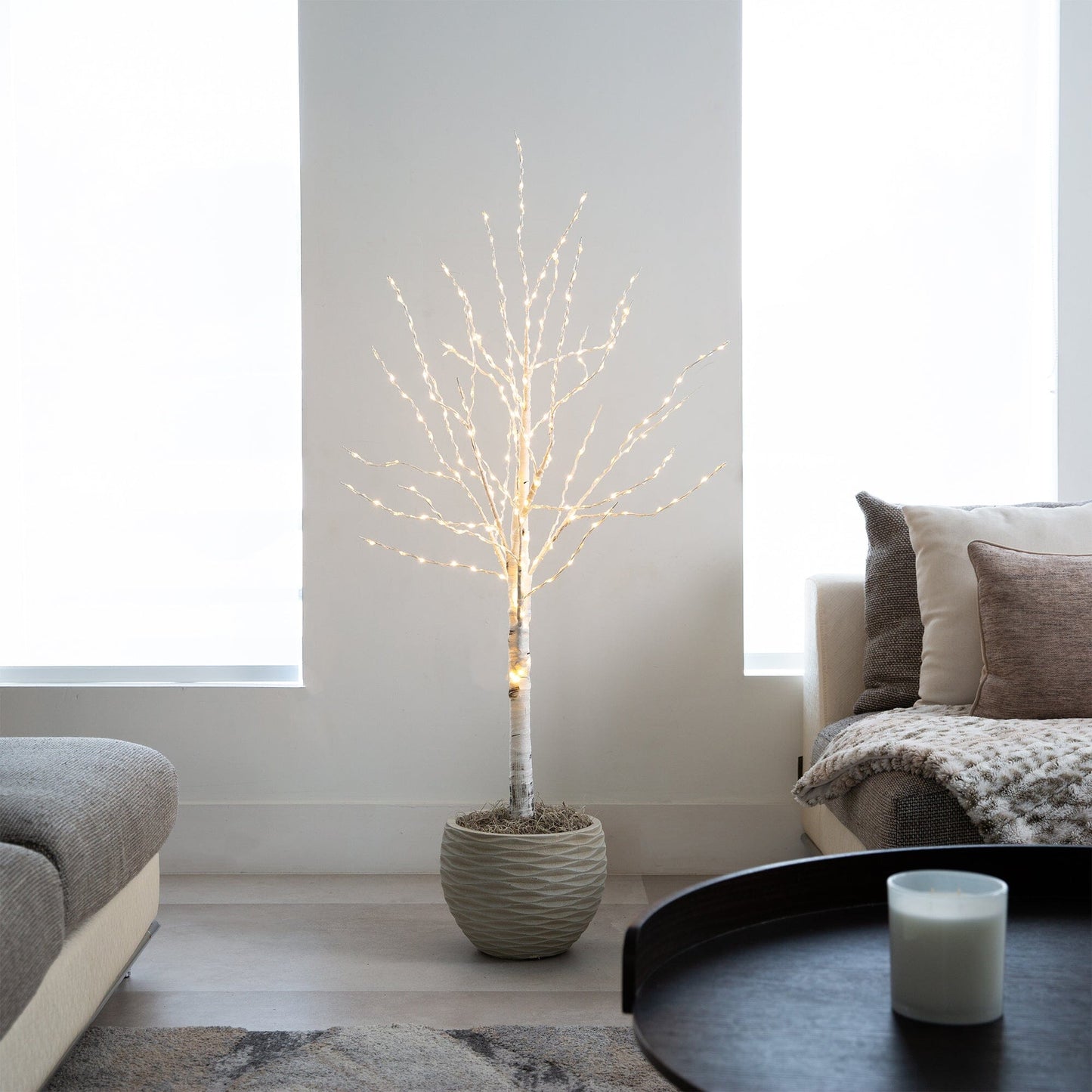 4 Ft White Birch and Color Changing Led Lights