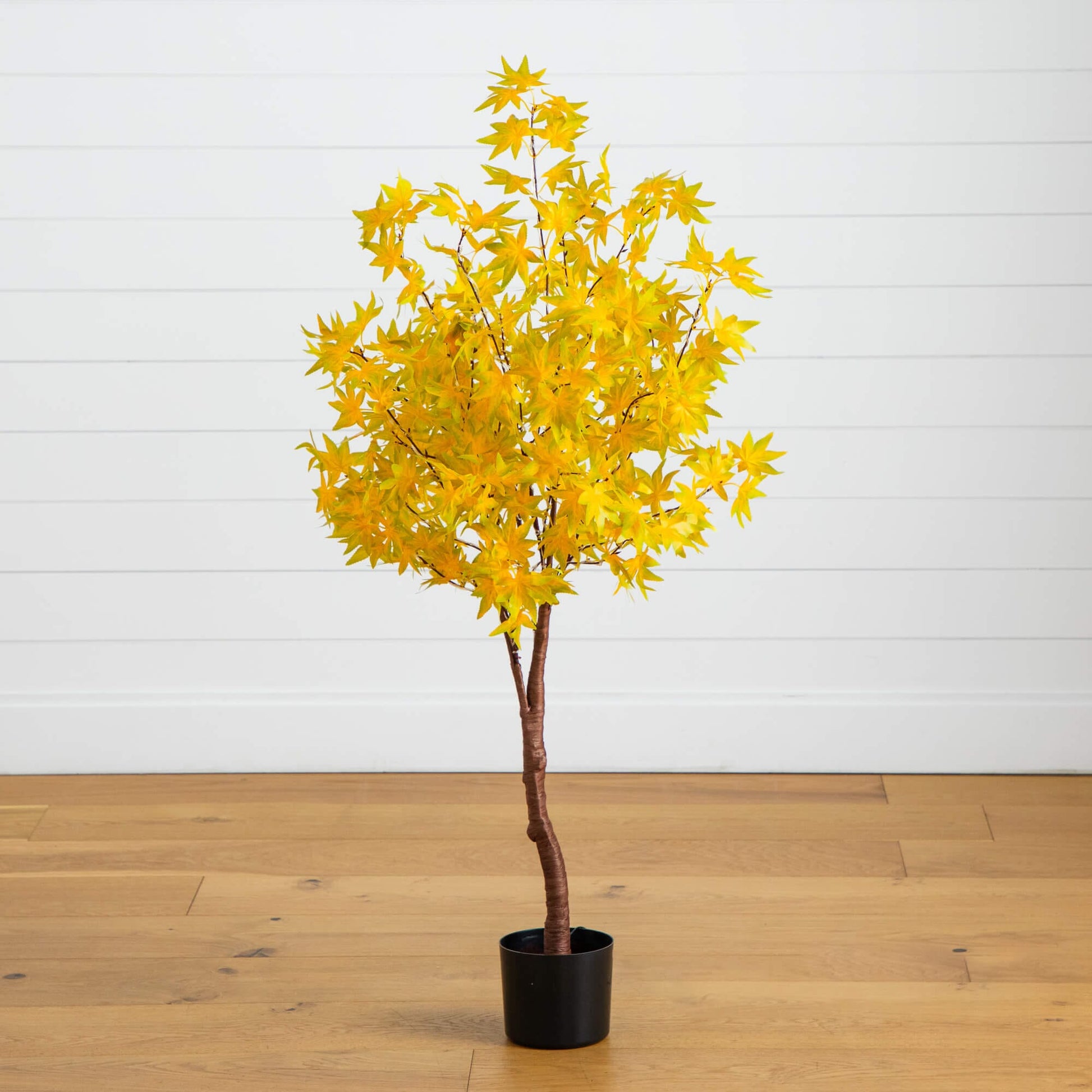 4' Pre-Lit Yellow Autumn Maple Artificial Tree by Nearly Natural with 150 warm white LEDs in black pot on Tampa Home & Garden Store