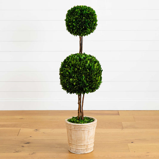 4’ Preserved Boxwood Double Ball Topiary Tree in Planter - Tampa Home & Garden Store