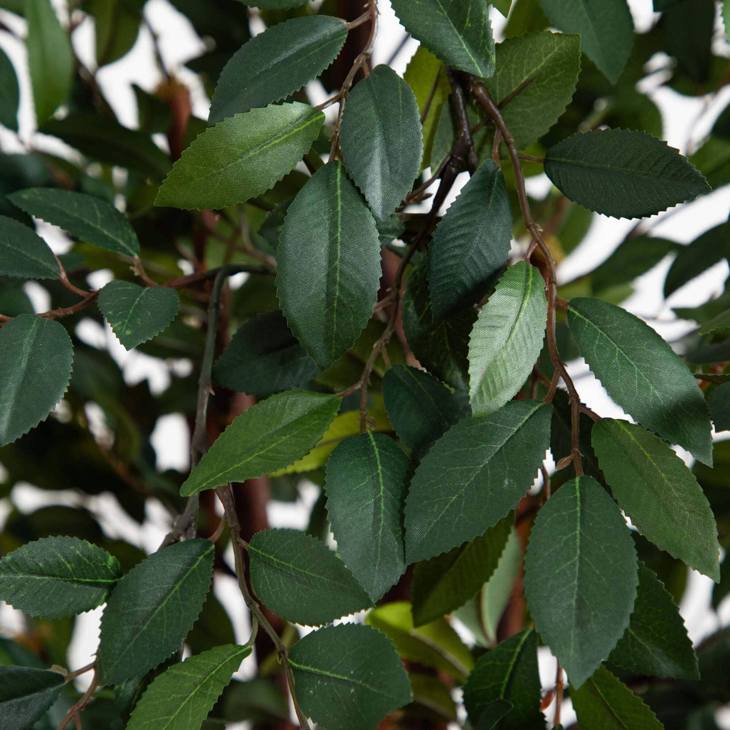 4' Ruscus Silk Tree by Nearly Natural with green serrated leaves on brown stems on Tampa Home & Garden Store
