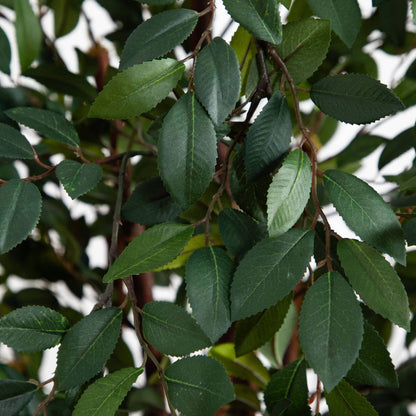 4' Ruscus Silk Tree by Nearly Natural with green serrated leaves on brown stems on Tampa Home & Garden Store
