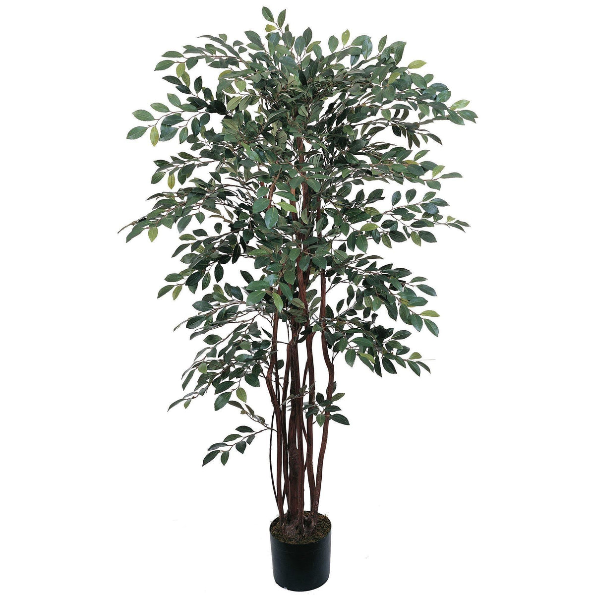 4' Ruscus Silk Tree by Nearly Natural in a black pot with lush green leaves on Tampa Home & Garden Store