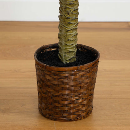 Palm sago de 1,2 m