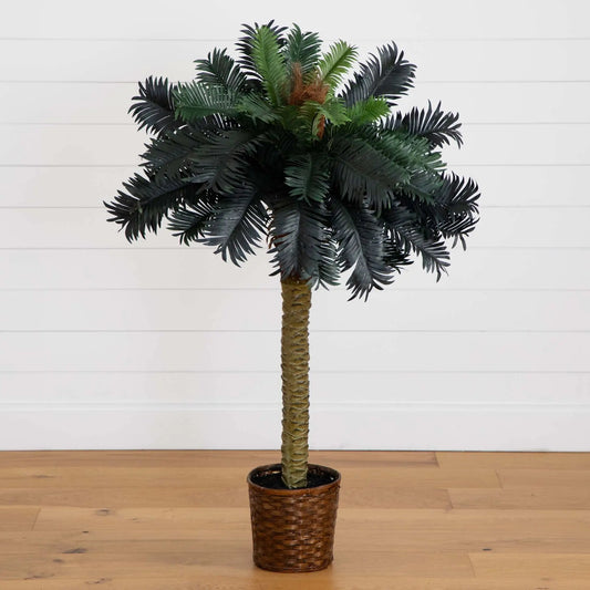 Palm sago de 1,2 m