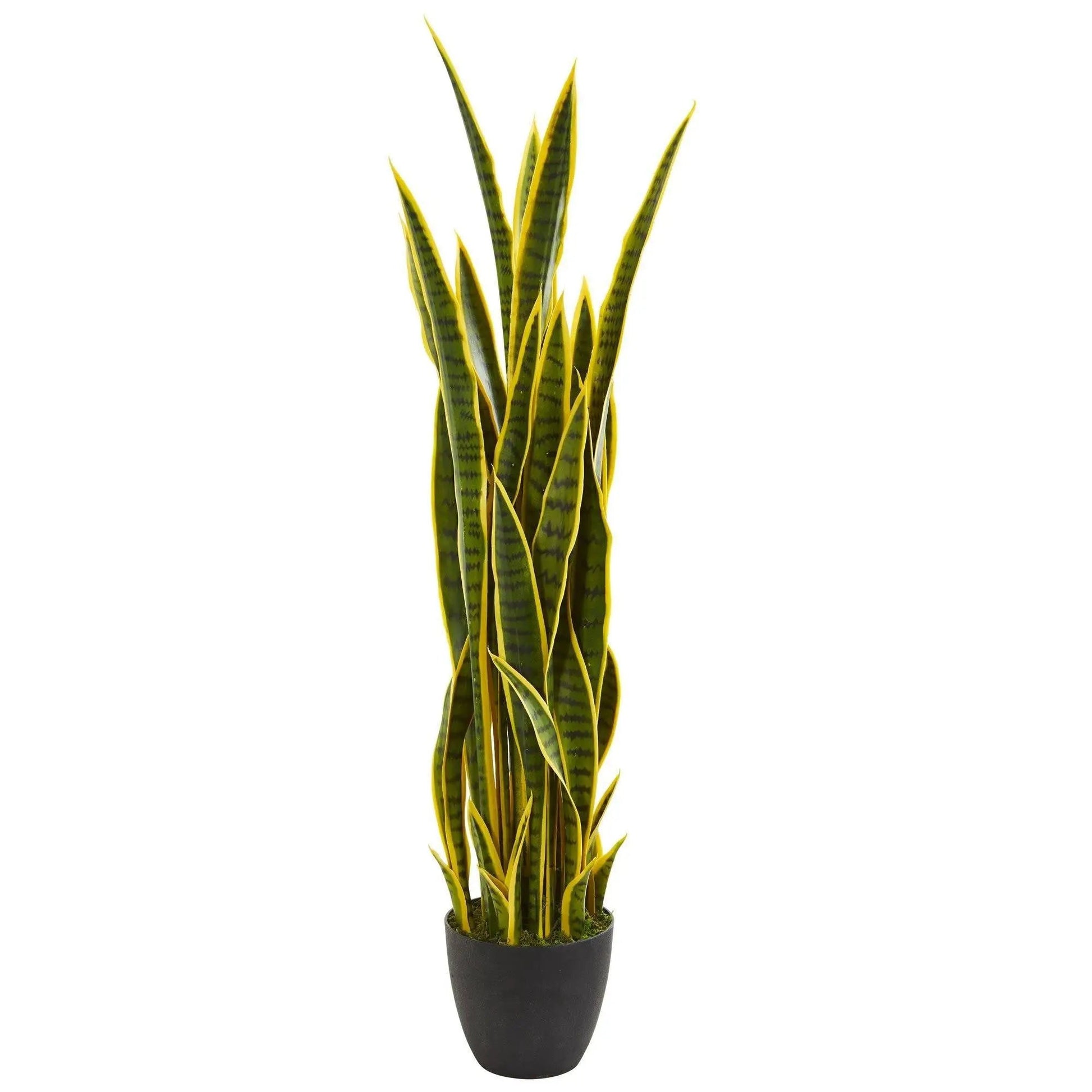 - image on Tampa Home & Garden Store