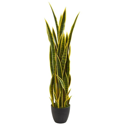 - image on Tampa Home & Garden Store