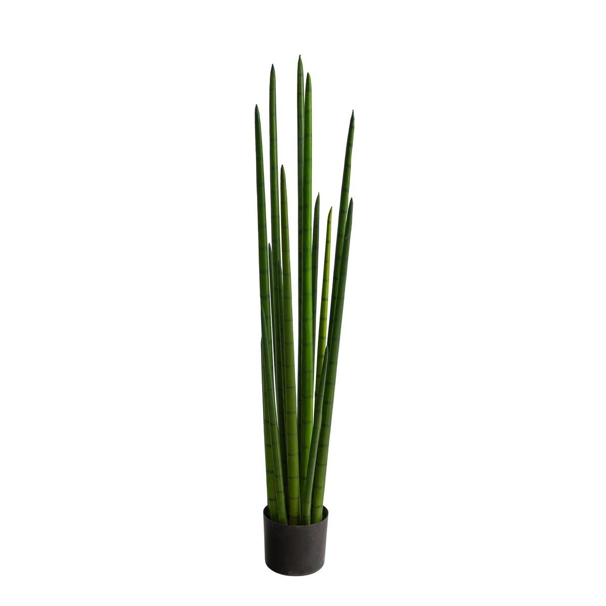 4 ft Sansevieria Snake Plant artificial by Nearly Natural in a black pot on Tampa Home & Garden Store