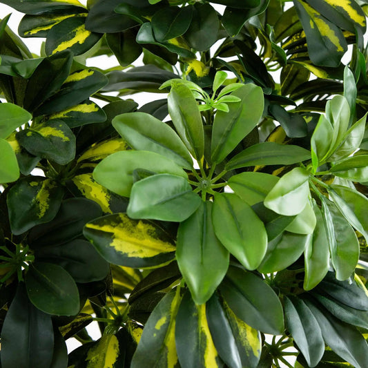 Schefflera Silk Tree Real Touch 4 ft Nearly Natural artificial umbrella plant on Tampa Home & Garden Store