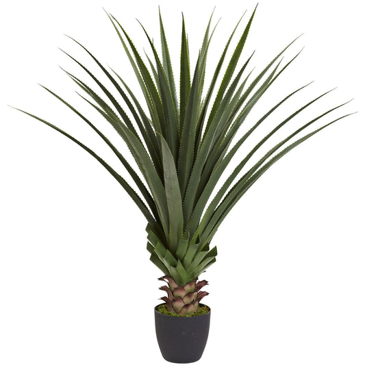 4’ Spiked Agave Plant - Tampa Home & Garden Store
