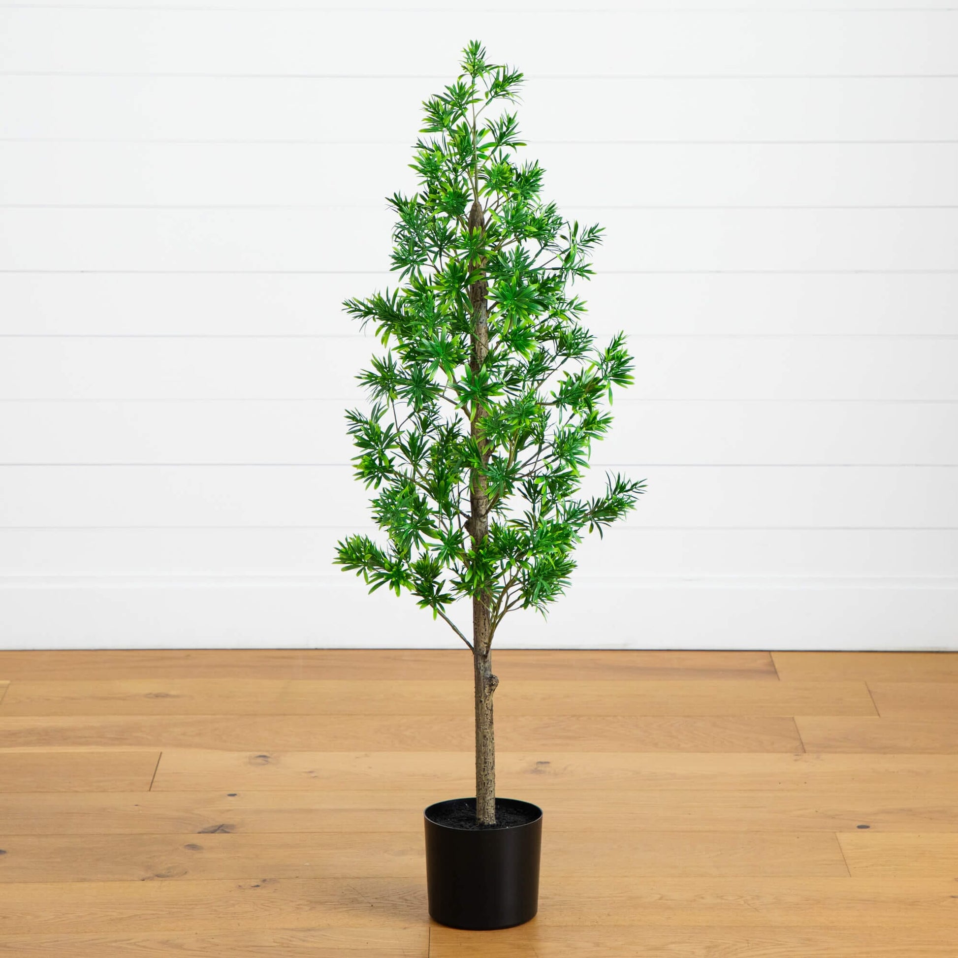 4' UV artificial Podocarpus tree in black pot by Nearly Natural indoor/outdoor use on Tampa Home & Garden Store